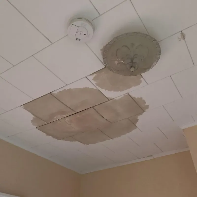 Ceiling Water Damage Repair in Olympia Heights, FL